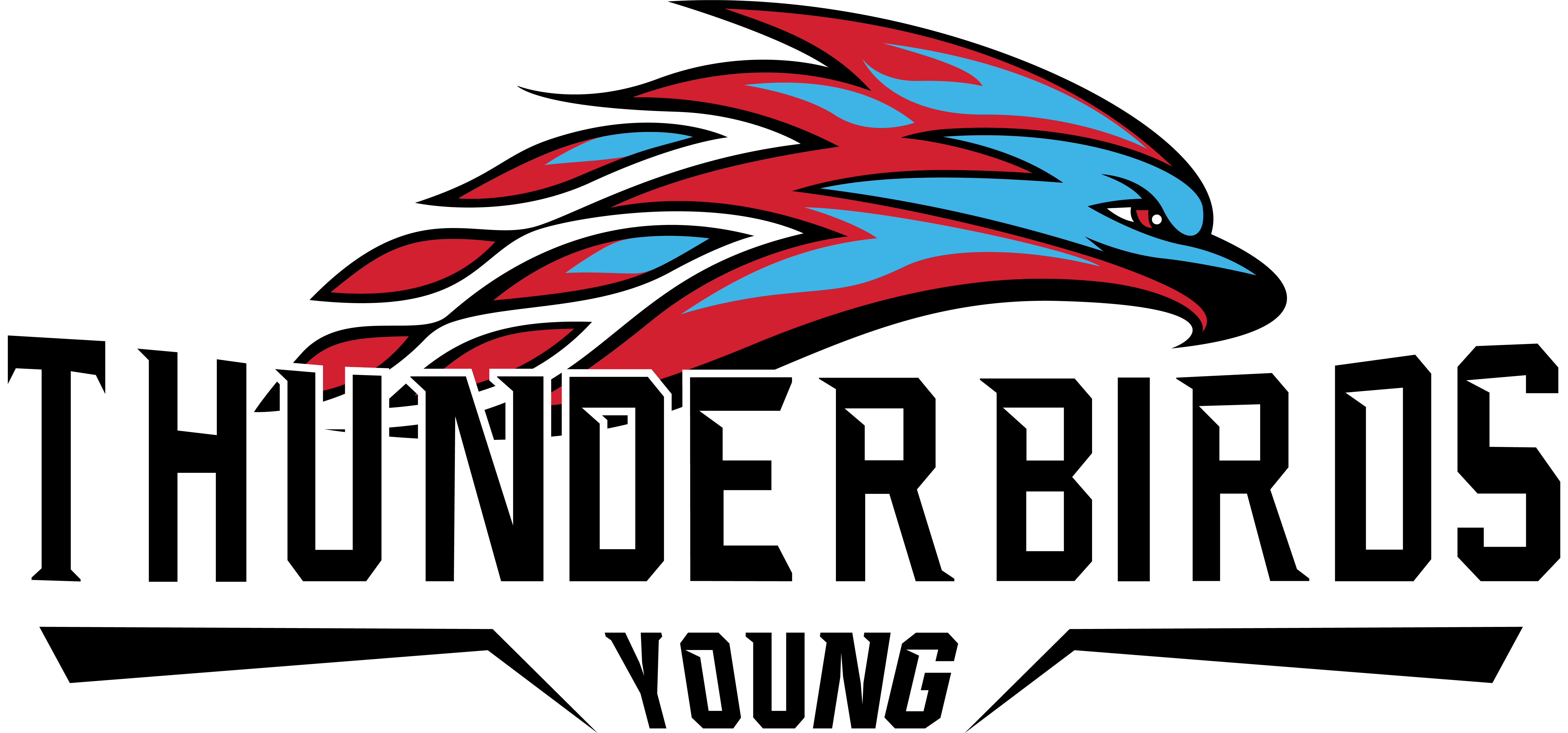 Young Thunderbirds Football Program